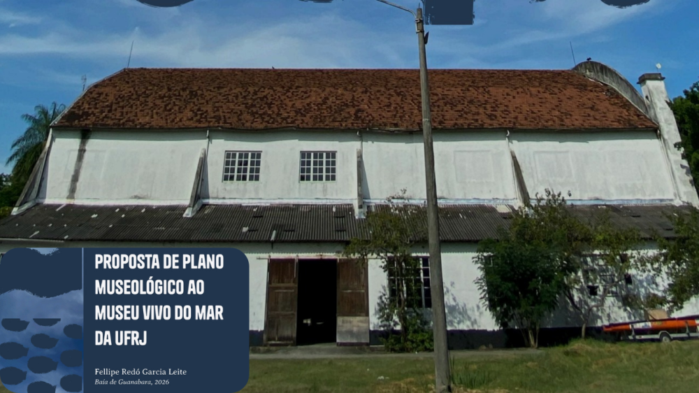 Gestor de Projetos do Instituto Trocando Ideia celebra conclusão de mestrado!